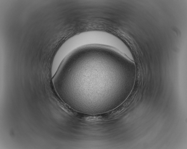 X0000115280465200911131832