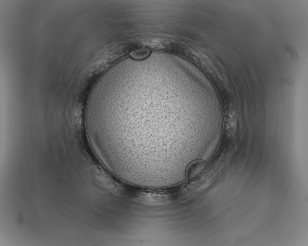 X0000115280466200911131832