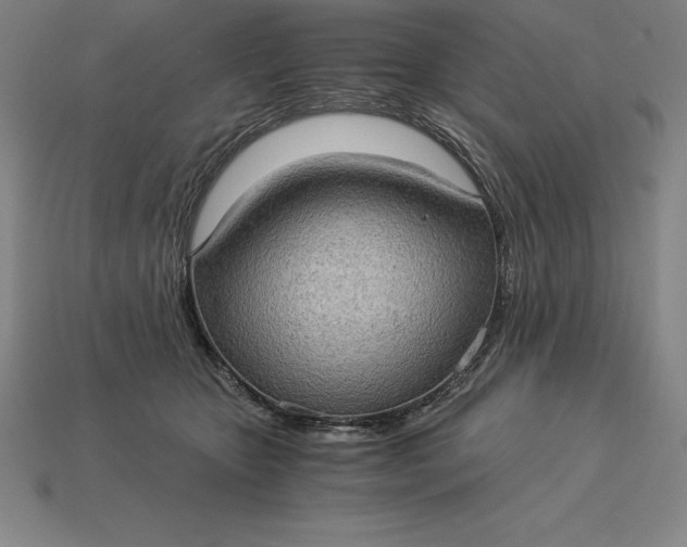 X0000115280467200911131832