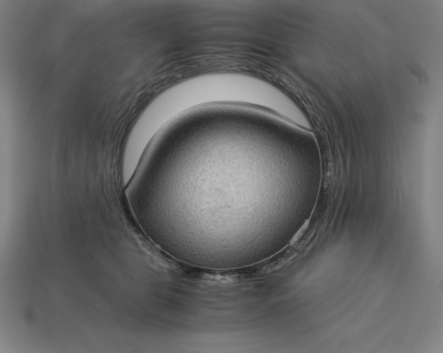 X0000115280469200911131832