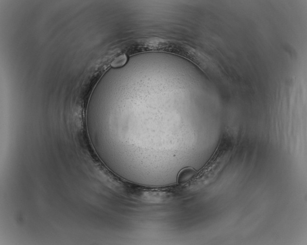 X0000115280470200911131832