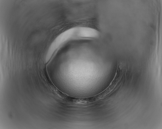 X0000115280471200911131832