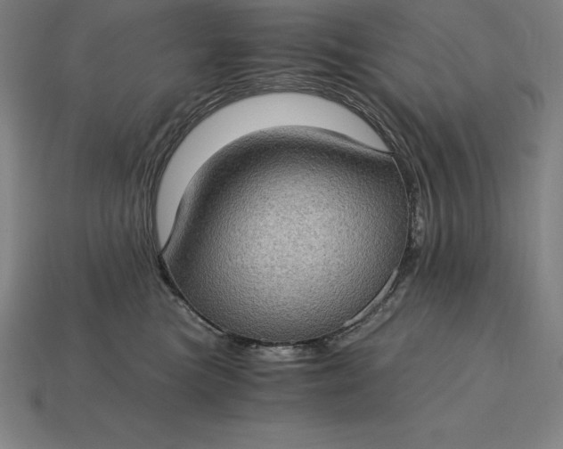 X0000115280473200911131832