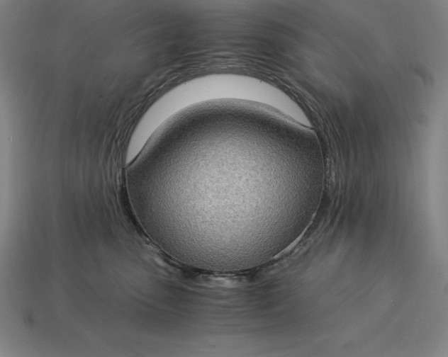 X0000115280475200911131832