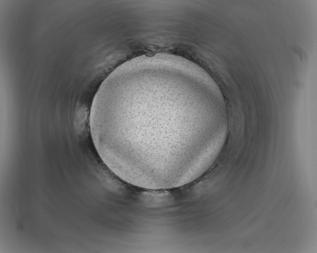 X0000115280480200911131833