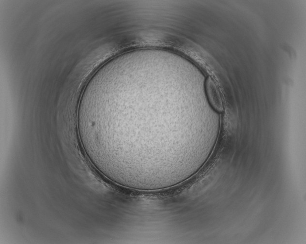 X0000115280481200911131832