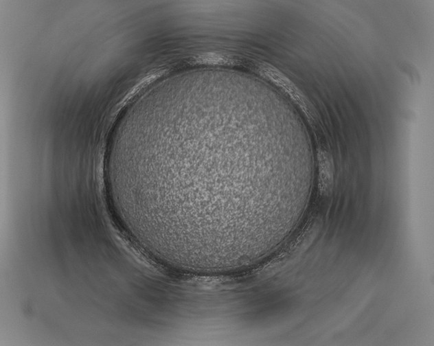 X0000115280482200911131832