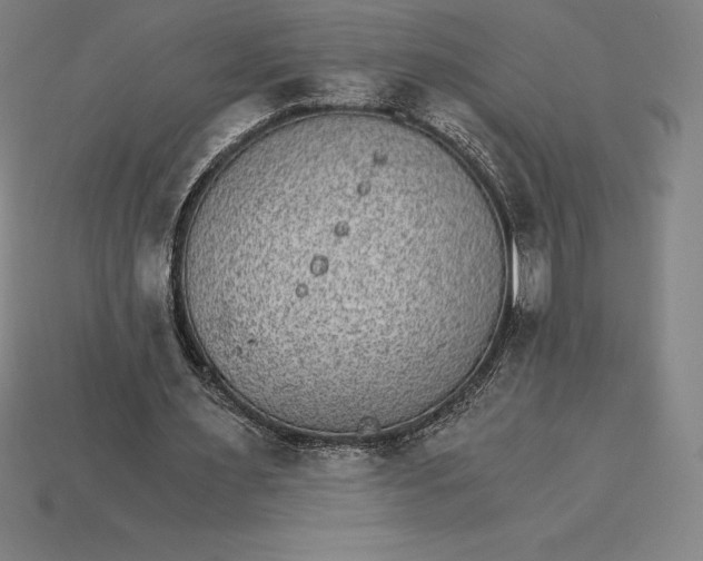 X0000115280483200911131832