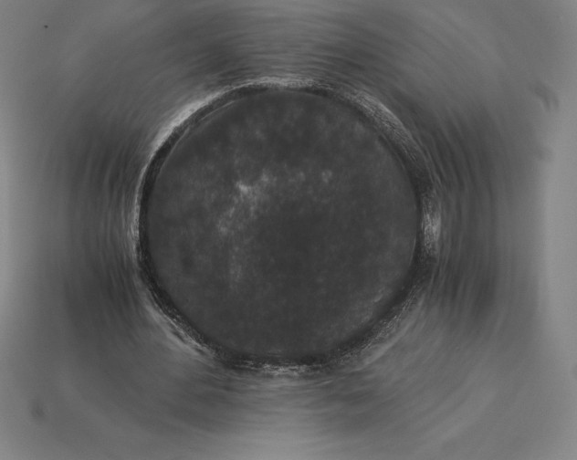 X0000115280484200911131832