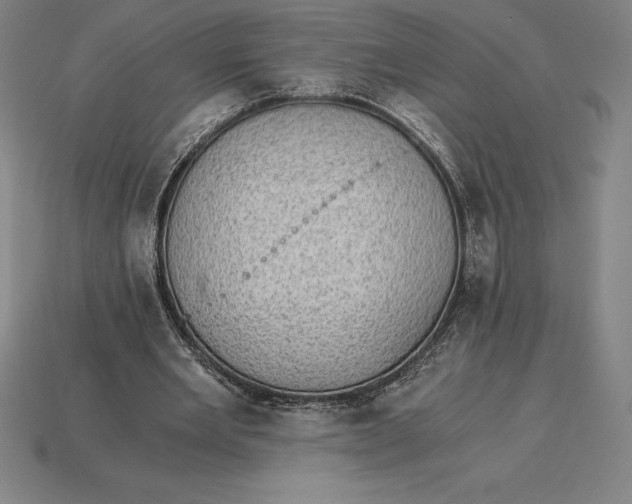 X0000115280485200911131832