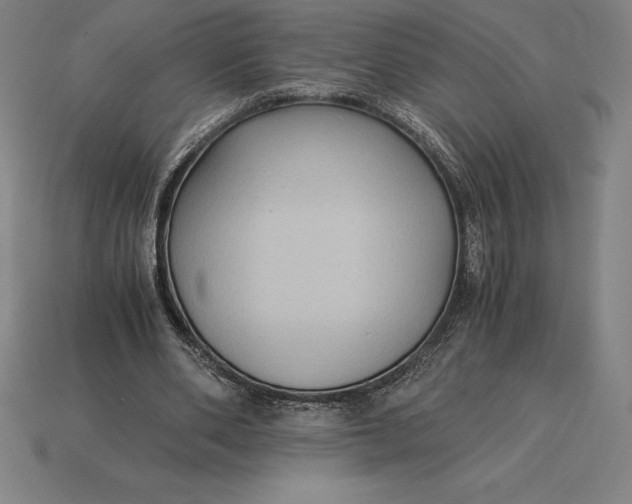 X0000115280486200911131832