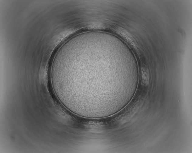 X0000115280487200911131832