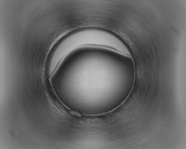 X0000115280488200911131832