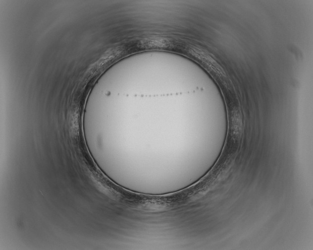 X0000115280489200911131832