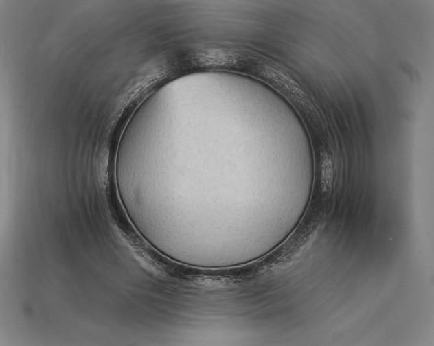 X0000115280490200911131832