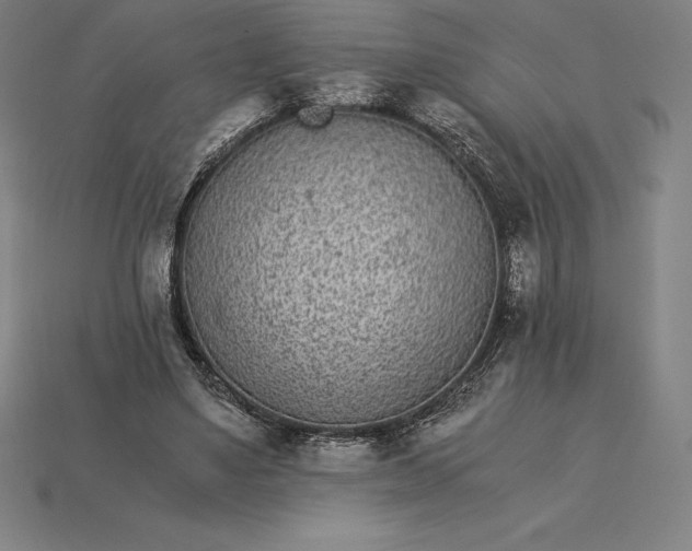 X0000115280491200911131832