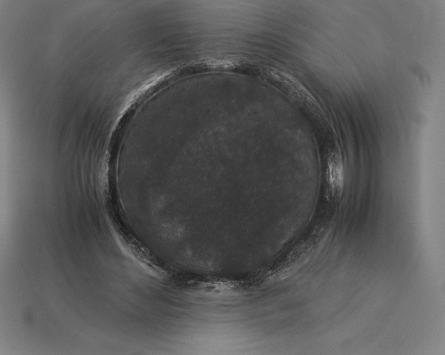 X0000115280492200911131832