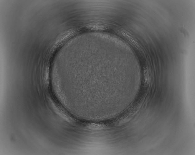 X0000115280494200911131832