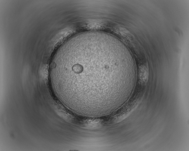 X0000115280495200911131832