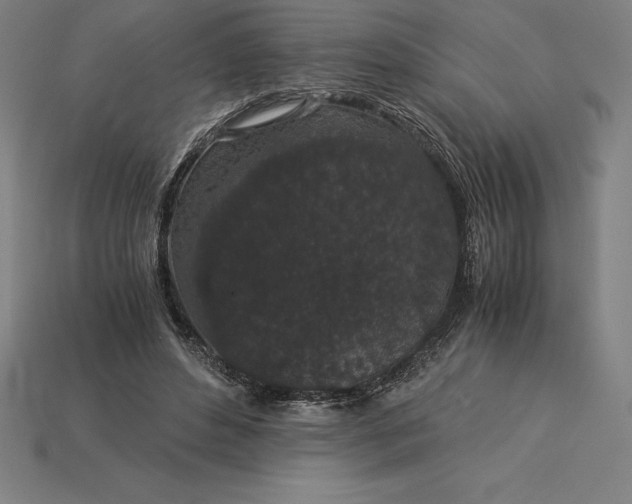 X0000115280496200911131832