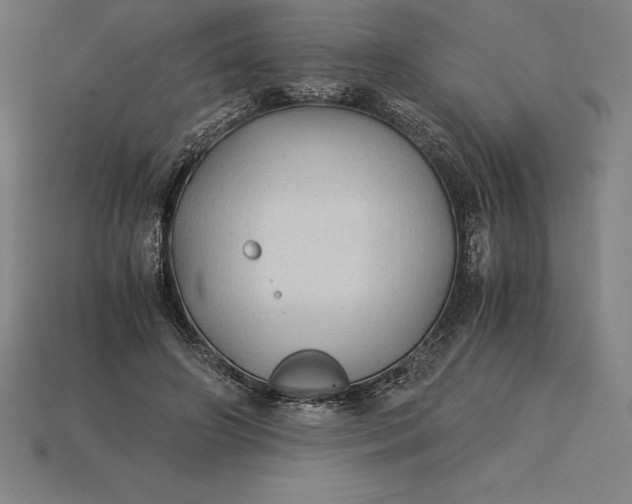 X0000115280498200911131832