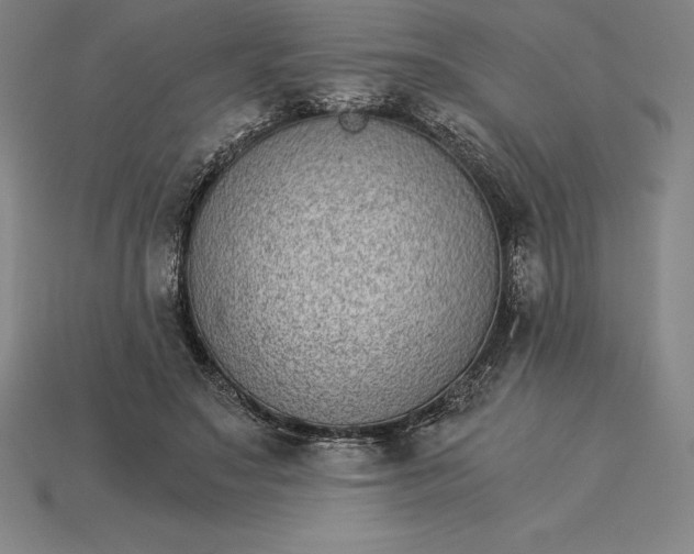 X0000115280499200911131832