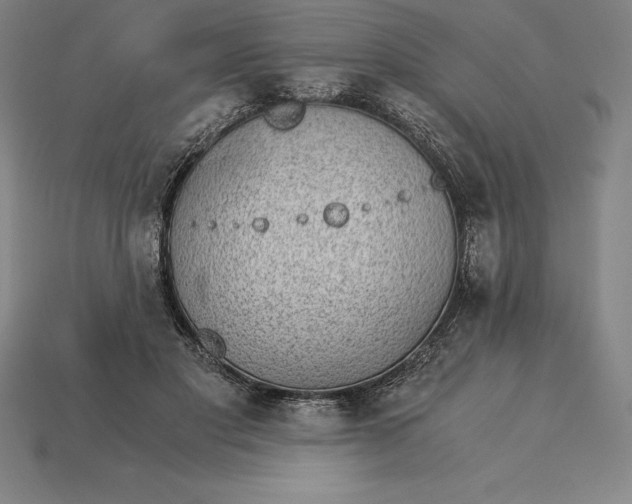 X0000115280501200911131832