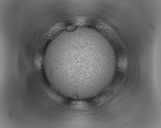 X0000115280503200911131832