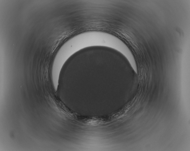 X0000115280504200911131832