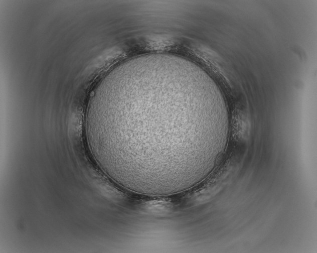 X0000115280505200911131832