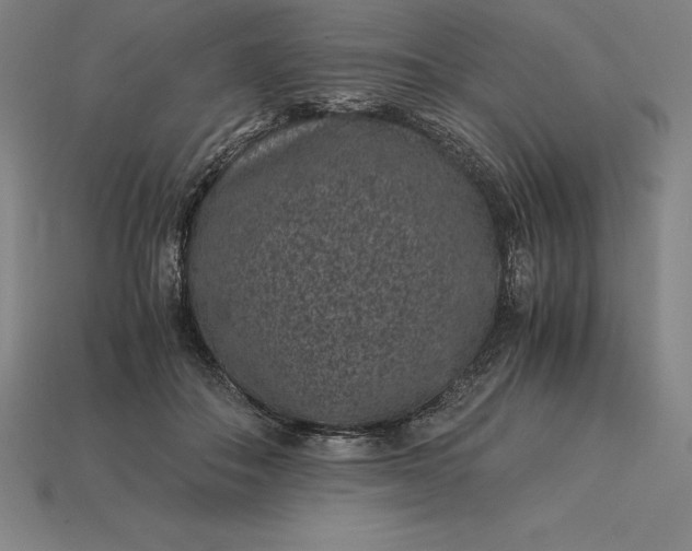 X0000115280506200911131832