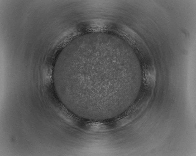 X0000115280507200911131832