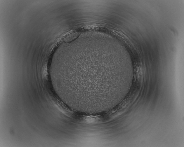 X0000115280508200911131832