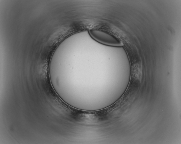 X0000115280509200911131832