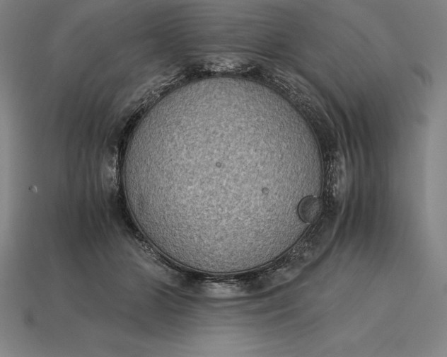 X0000115280510200911131832