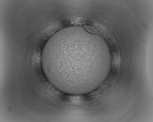 X0000115280513200911131831