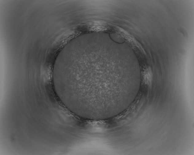 X0000115280517200911131831