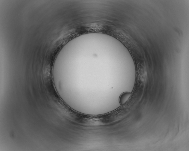 X0000115280518200911131831