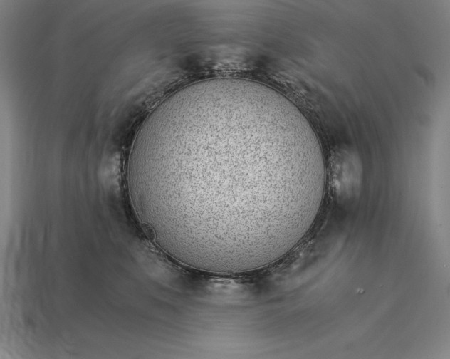 X0000115280519200911131831