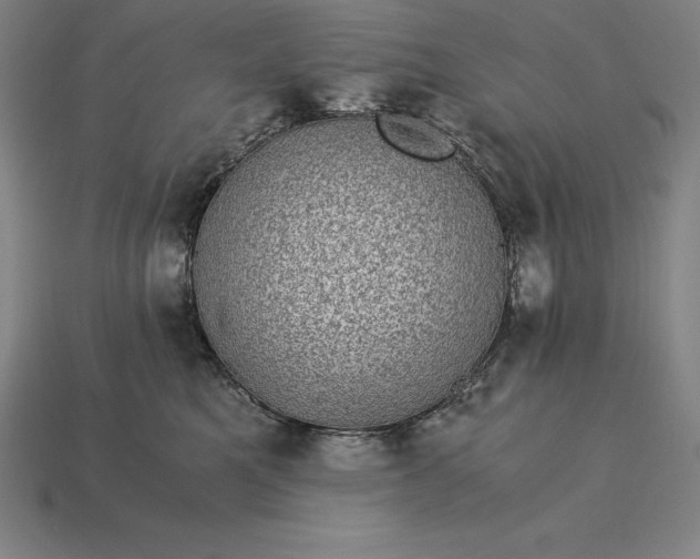 X0000115280521200911131831