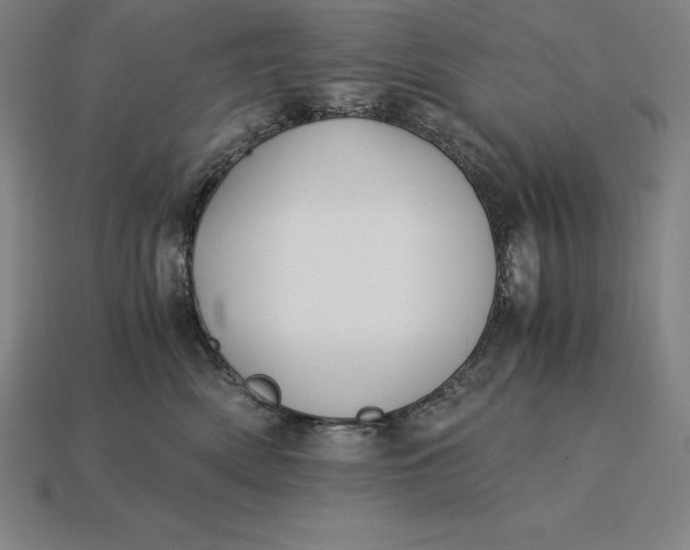 X0000115280522200911131831