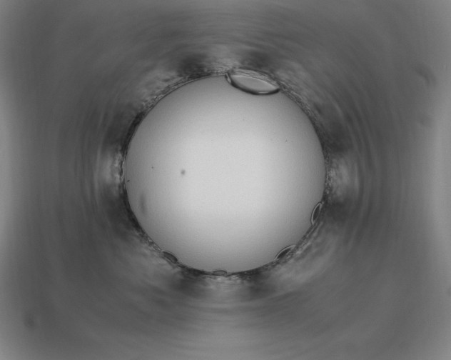 X0000115280525200911131831