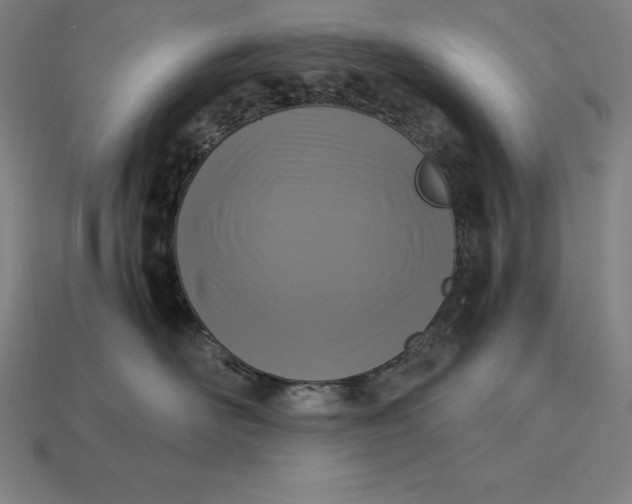 X0000115280526200911131831