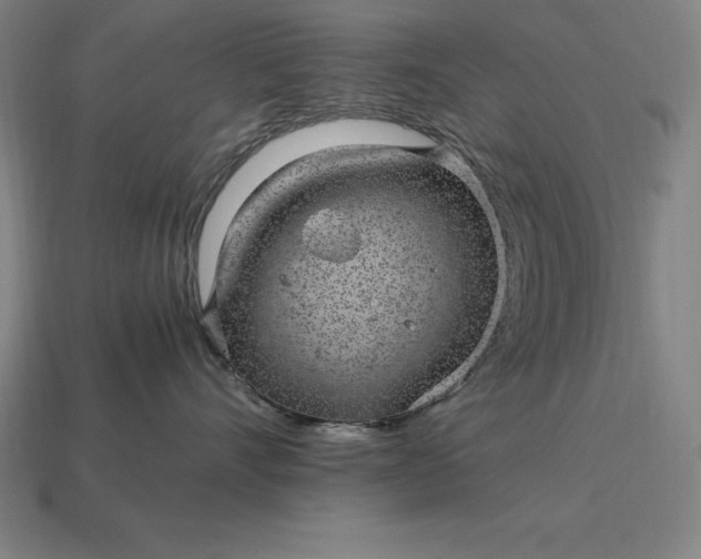 X0000115280528200911131831