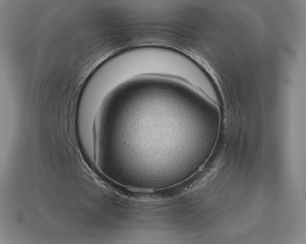 X0000115280529200911131831