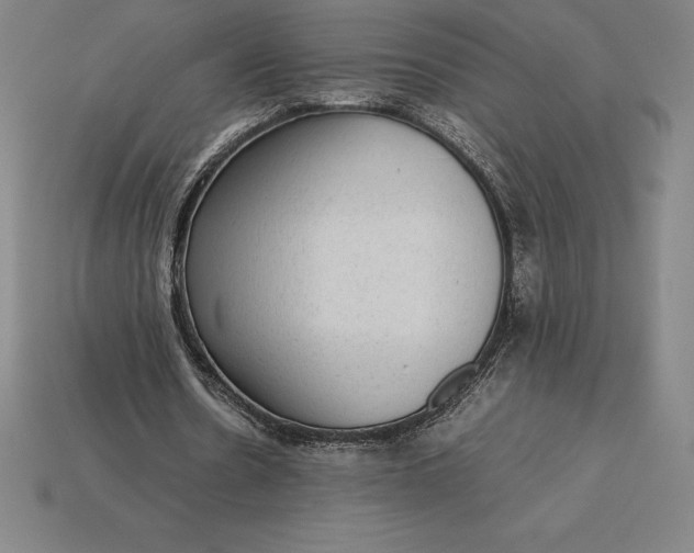 X0000115280530200911131831