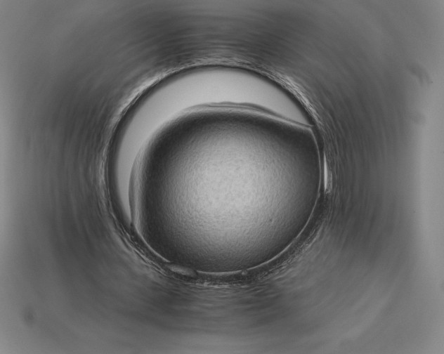 X0000115280531200911131831