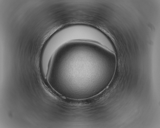 X0000115280533200911131831