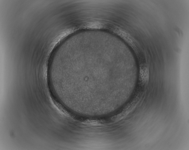 X0000115280534200911131831