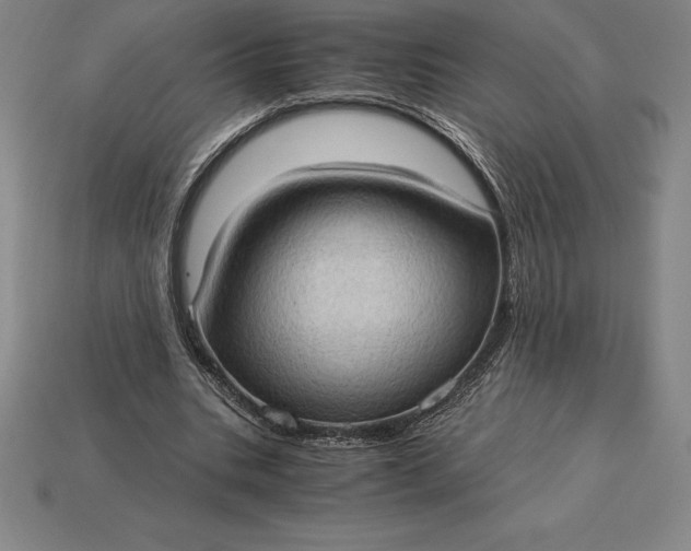 X0000115280535200911131831